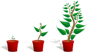 Startup nebo garážová firma?